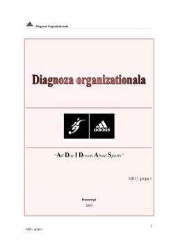 Proiect - Diagnoză organizațională - Adidas