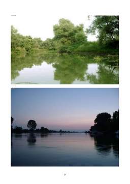 Referat - Delta Dunării