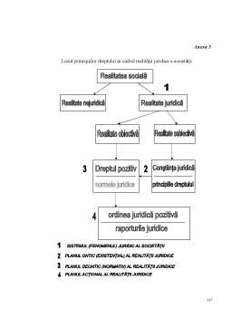 Proiect - Principiile Dreptului - Aspecte Teoretico - Practice