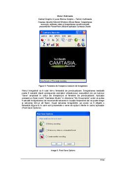 Curs - Camtasia Studio și Windows Movie Maker
