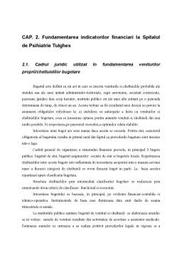 Proiect - Organizarea gestiunii financiare la Spitalul de Psihiatrie Tulgheș