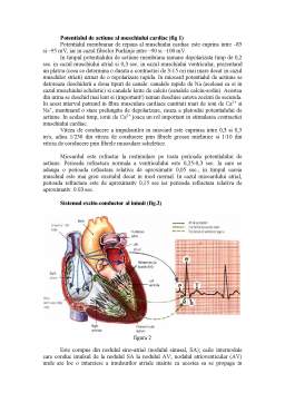 Proiect - Electrocardiograma