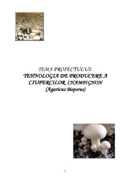 Referat - Tehnologia de Producere a Ciupercilor Champignon - Agaricus Bisporus