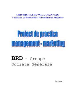 Proiect - Practică BRD