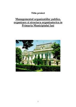 Proiect - Managementul organizațiilor publice, organizare și structura organizatorică în Primăria Municipiului Iași