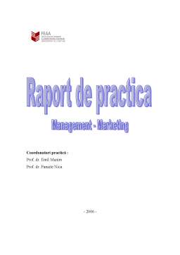 Proiect - Raport de practică - Marion Turism