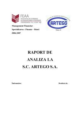 Proiect - Raport de Analiza SC Artego SA