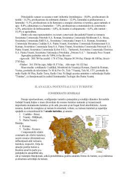 Referat - Studiu privind potențialul turistic al județului Neamț
