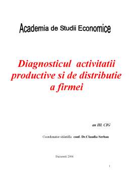Proiect - Diagnosticul activității productive și de distribuție a firmei