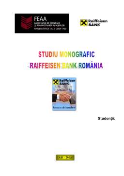 Proiect - Studiu Morfologic Raiffeisen România
