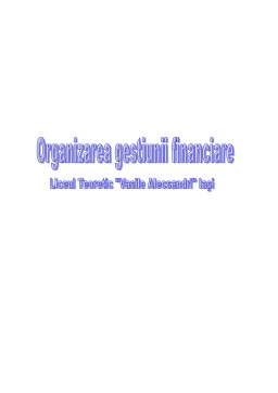 Proiect - Organizarea gestiunii financiare - Liceul Vasile Alecsandri Iași