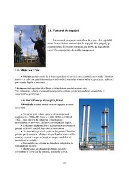 Proiect - Monografie - SC Petrom Service SA