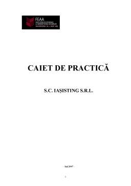 Proiect - Caiet de practică - SC Iasisting SRL