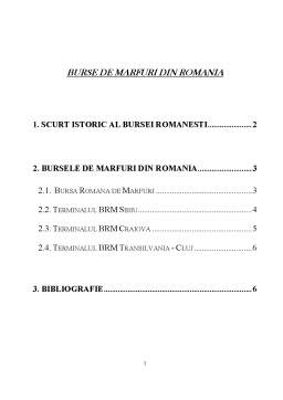 Referat - Burse de mărfuri din România