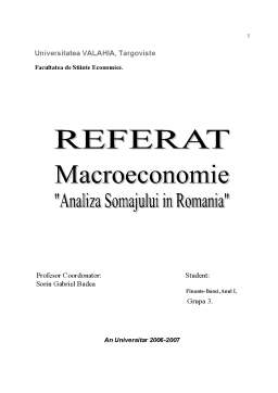 Referat - Analiza Șomajului în România