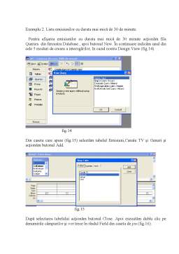 Proiect - Descrierea Microsoft Access 2003