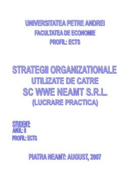 Referat - Strategii organizaționale