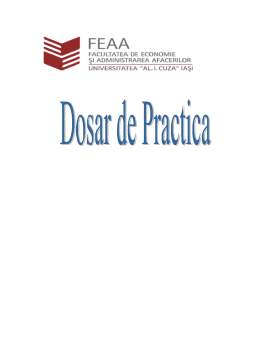 Proiect - Dosar practică - consultanță și management Salma Com SRL