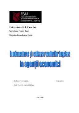 Proiect - Fundamentarea și realizarea veniturilor bugetare la agenții economici