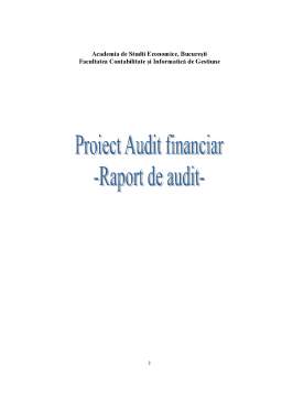 Proiect - Raport de Audit
