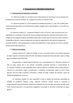 Proiect - Analiza performanței financiare la SC Mecanica Ceahlău SA