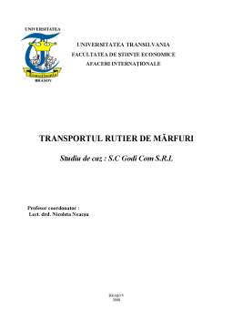 Proiect - Transporturi Internaționale