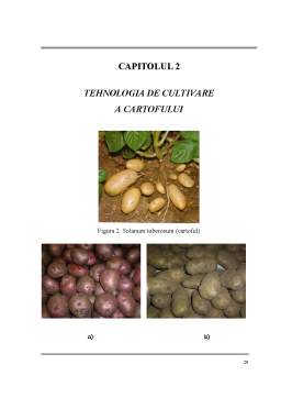 Licență - Cercetari privind Cultura Cartofului in Zonele Colinar - Montane