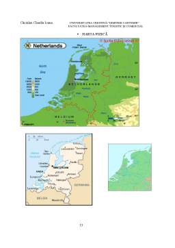Proiect - Piața turistică a Olandei