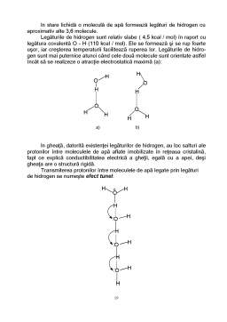 Curs - Aminoacizi, Proteine
