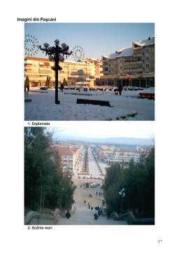 Proiect - Monografia Orașului Pașcani