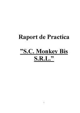 Proiect - Raport de practică - SC Monkey Bis SRL