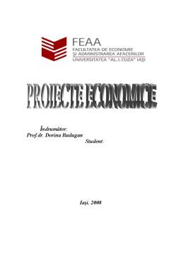 Proiect - Proiect Economie - SC Cementab SRL