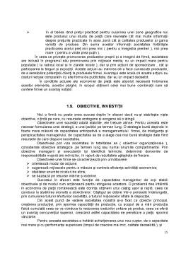 Proiect - Identificarea și Gestiunea Costurilor Firmei SC Fanpan SRL Targu-Neamt - Anul de Analiza 2007