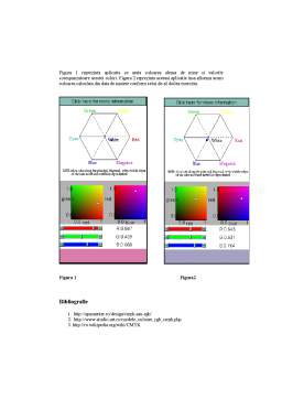 Referat - Modele de Culori RGB și CMYK