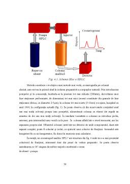 Proiect - Cromatografia de Lichide de Înaltă Performanță