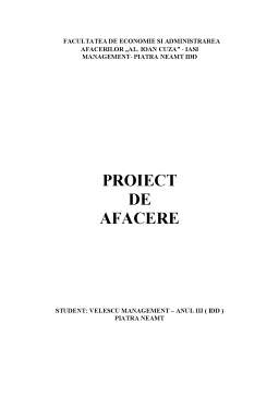 Proiect - Managementul producției