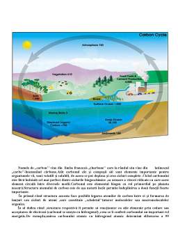Proiect - Modificarea Ciclurilor Biogeochimice
