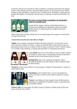 Referat - Metodele tehnologice de bază ale prelucrării strugurilor și fabricării diferitor tipuri de vinuri
