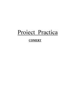 Proiect - Proiect practică - Radioton