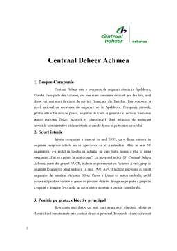 Referat - Centraal Beheer - analiza tehnicilor promoționale