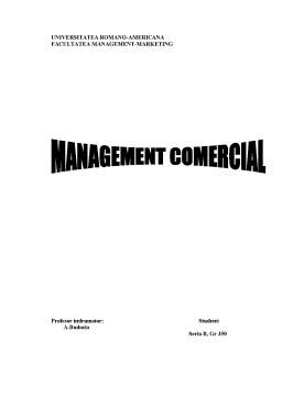 Referat - Delimitari Conceptuale in Cadrul Managementului Comercial