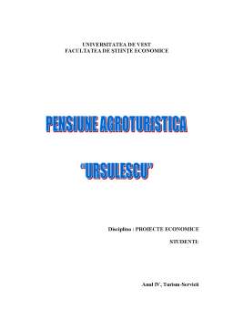 Proiect - Pensiune turistică Ursulescu
