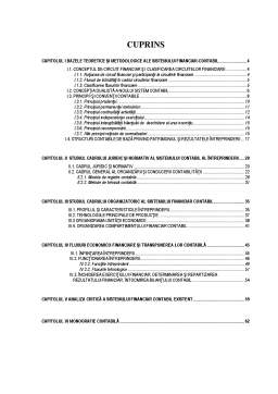 Proiect - Organizarea și Conducerea Sistemului financiar-contabil al Societății Comerciale Agromec Berești SA