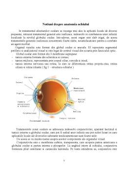 Referat - Caracterizarea Fizico-Chimica a Medicamentelor Oculare