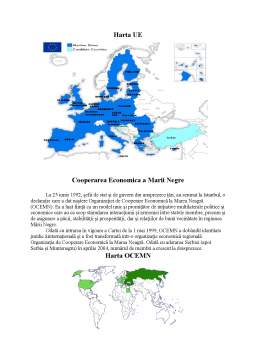 Referat - Geografie economică mondială - grupări de integrare economică regională