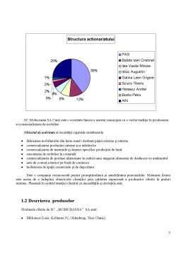 Referat - Gestiune Financiara - SC Mobicrasna SA