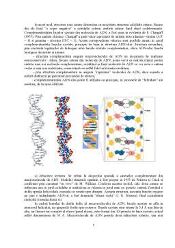 Referat - Acizii Nucleici - ADN și ARN