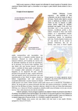 Referat - Migrația insectelor