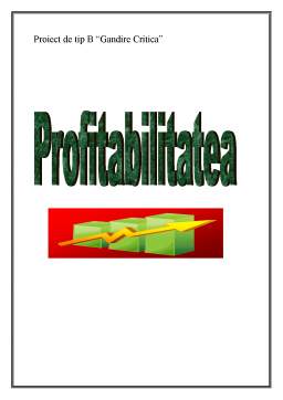 Proiect - Profitabilitatea