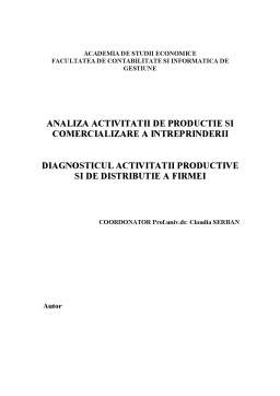 Proiect - Analiza activității de producție și comercializare a întreprinderii